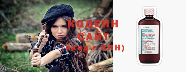 твердый Ельня