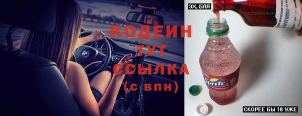 хмурый Елабуга