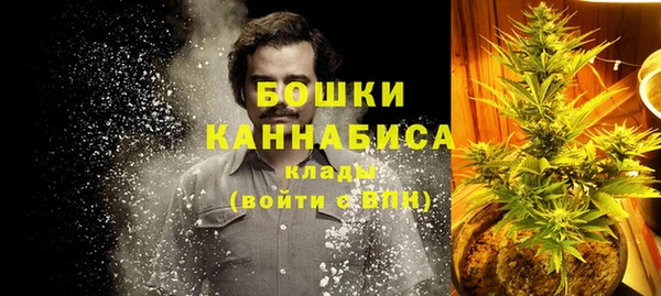 твердый Ельня