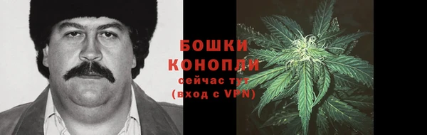 твердый Ельня