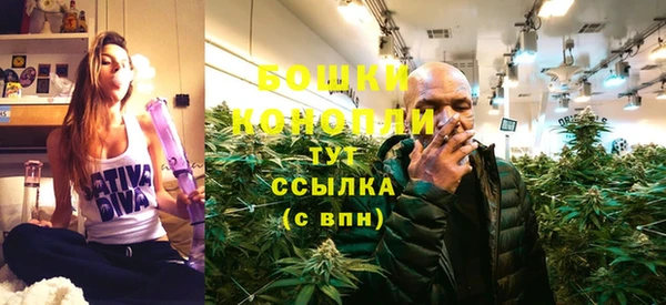 твердый Ельня