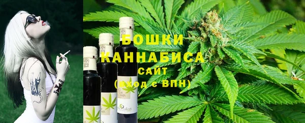 твердый Ельня