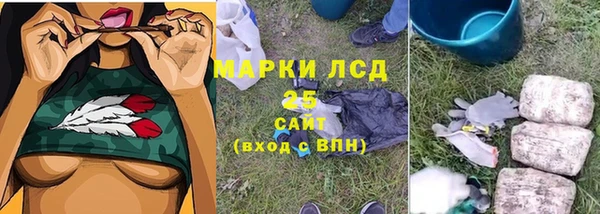 хмурый Елабуга