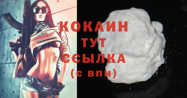 твердый Ельня