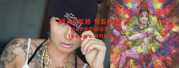 твердый Ельня