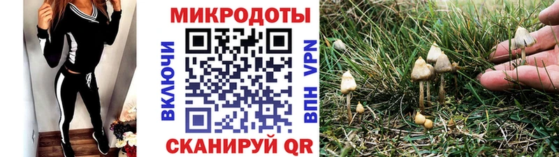 Галлюциногенные грибы Magic Shrooms Купить закладки Киреевск